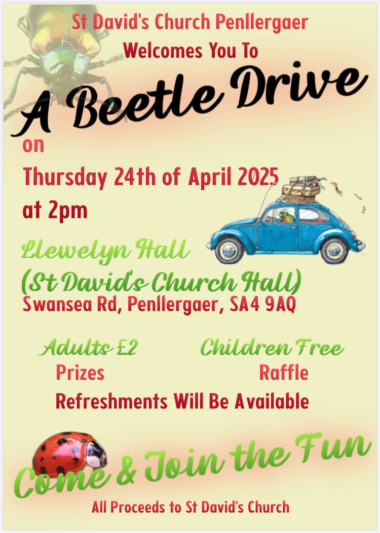 Beetle Drive 